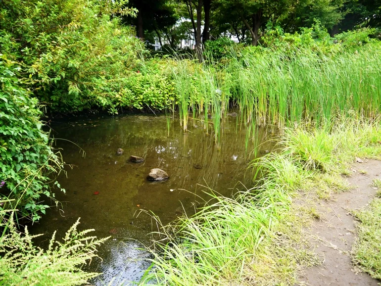 港南緑水公園