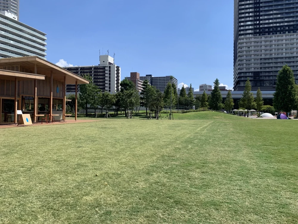 トヨスノマルシェが開催される豊洲公園