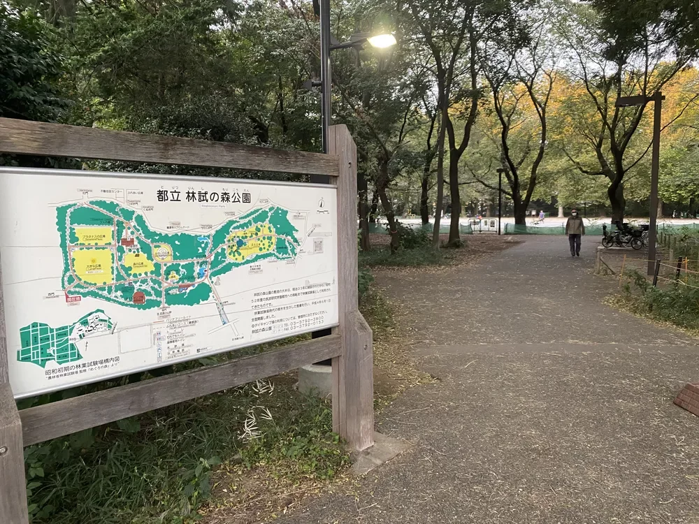 林試の森公園