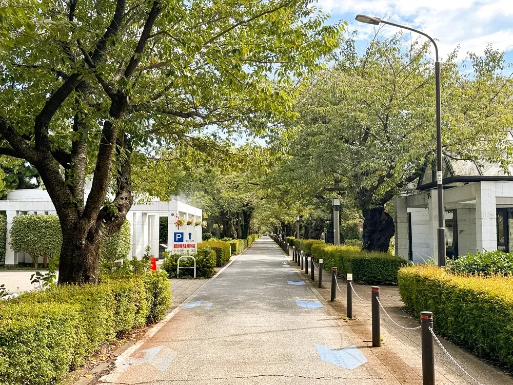 青山霊園