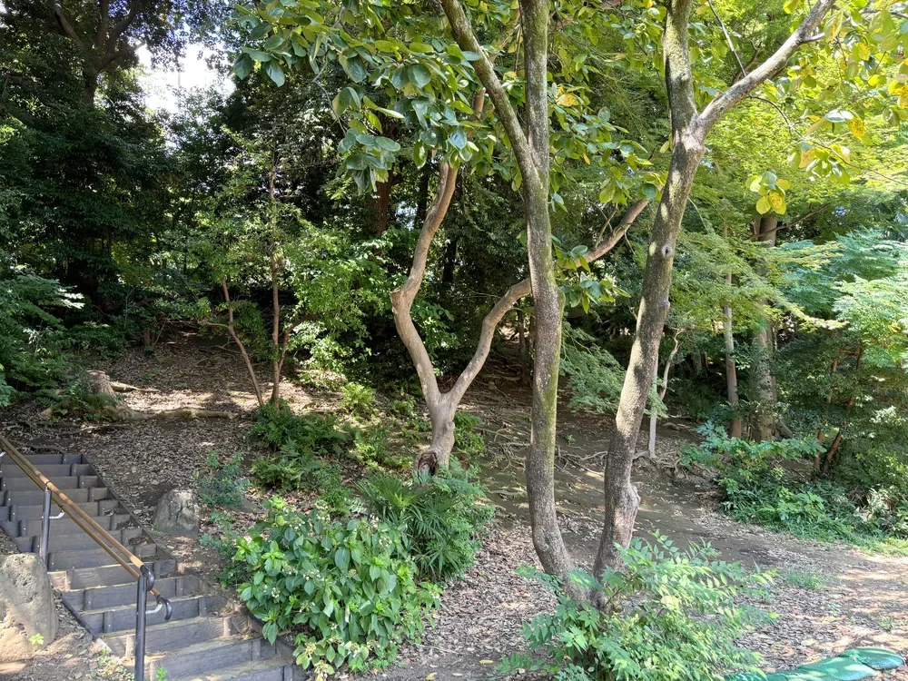 港区立高輪森の公園