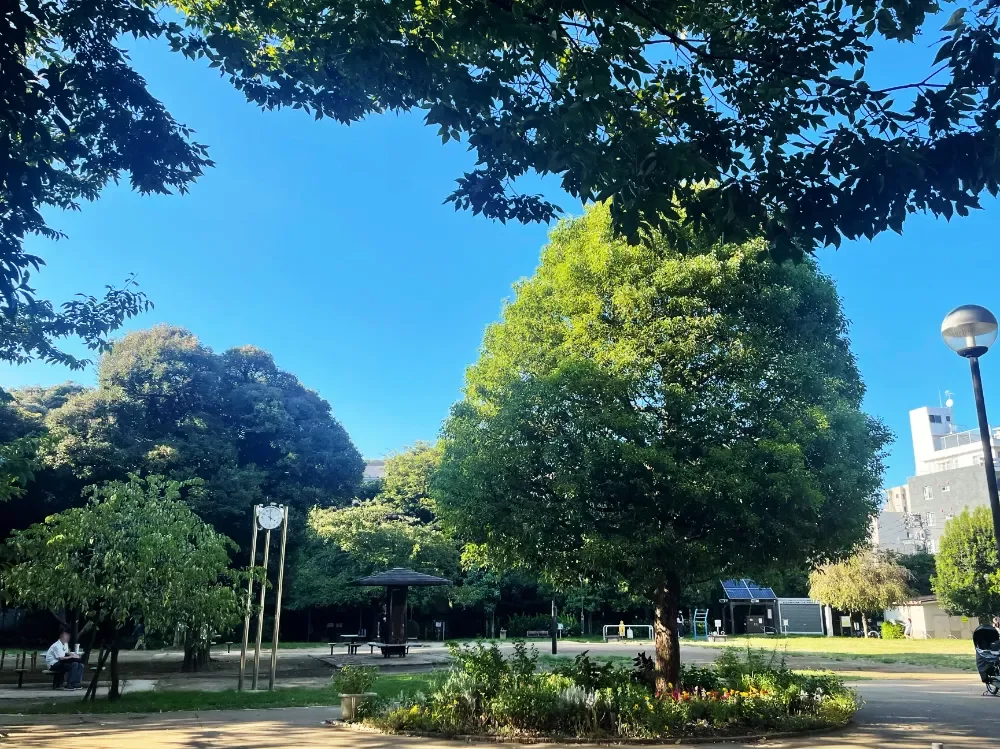 白金台どんぐり児童遊園