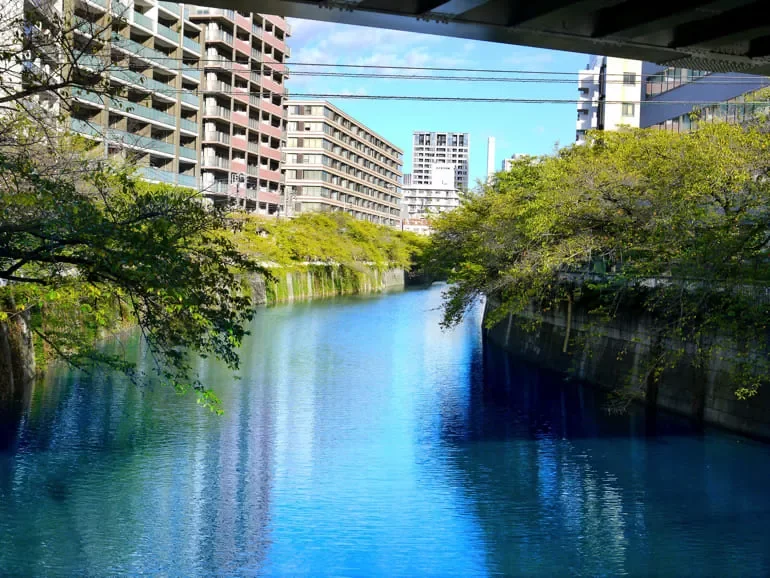 目黒川