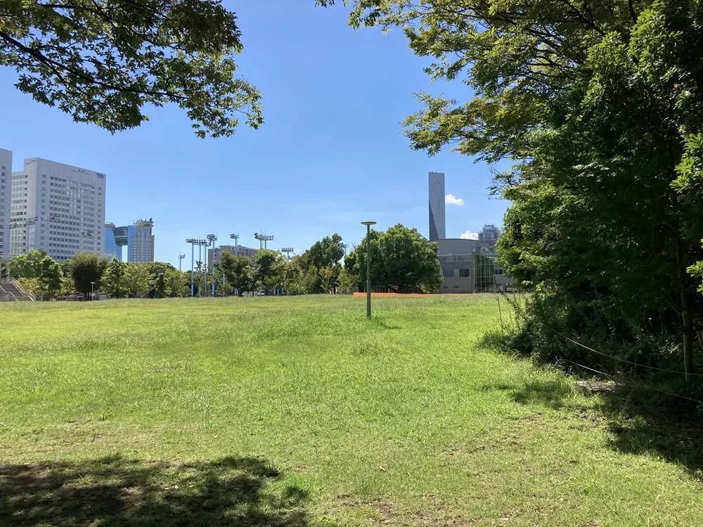 有明テニスの森公園