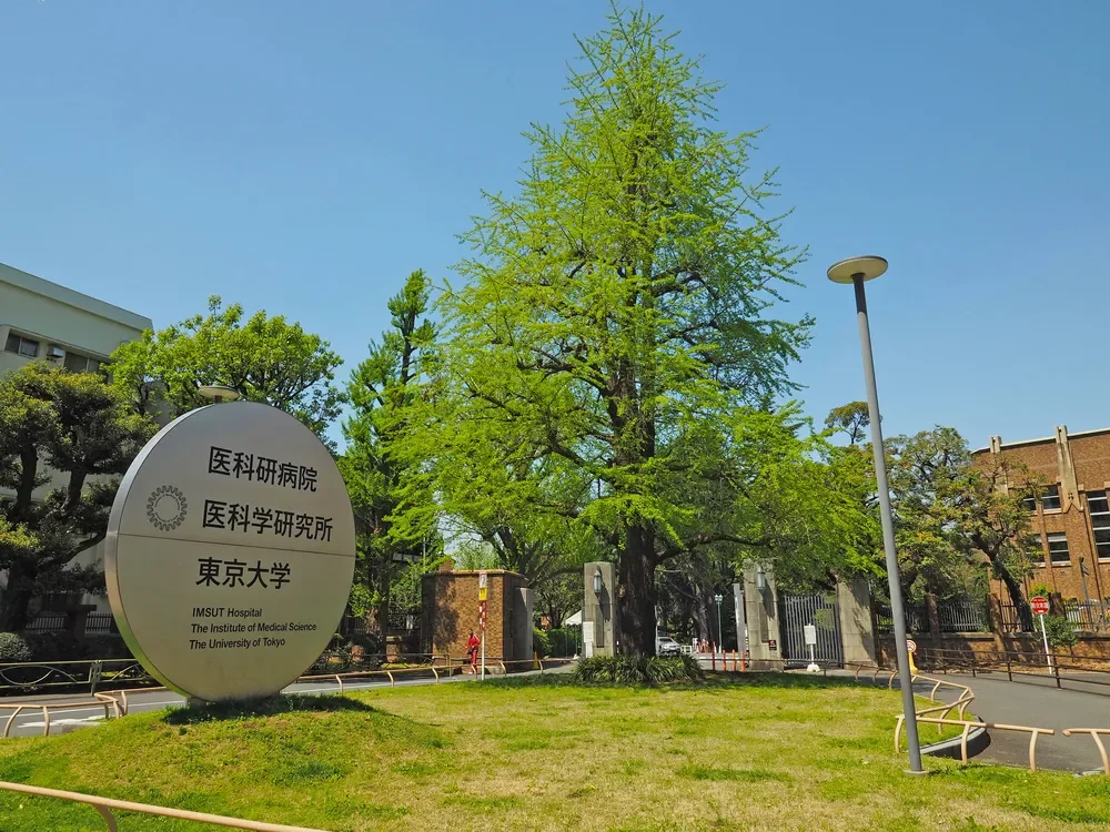 東京大学医科学研究所附属病院