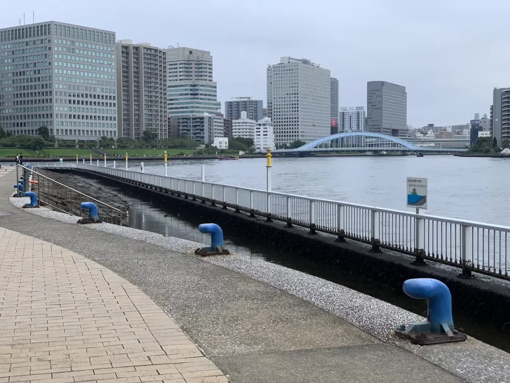 中央区立石川島公園