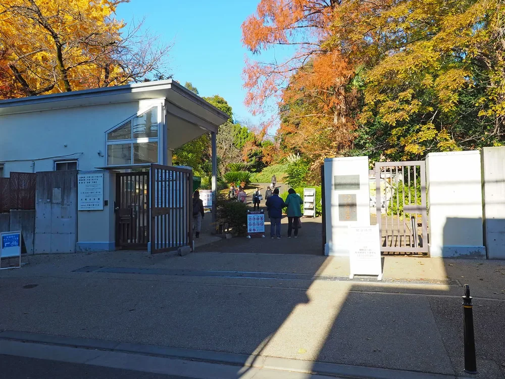 小石川植物園