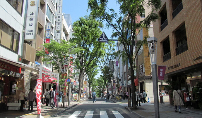 東急リバブル 神楽坂 中里町 天神町 東五軒町のマンション 都心エリアのマンション特集