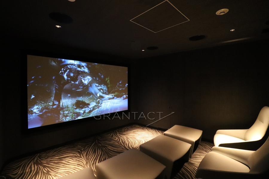 Theater room