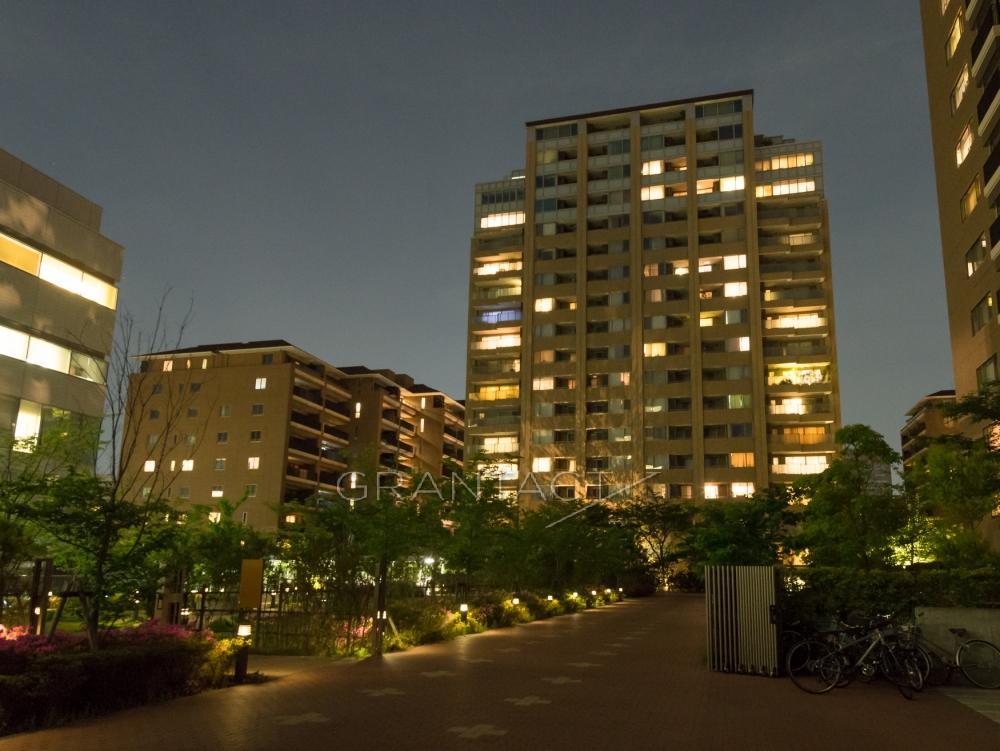 Approach（Night View）