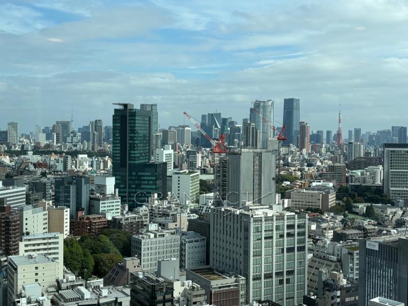 tokyo tower／sky treeView