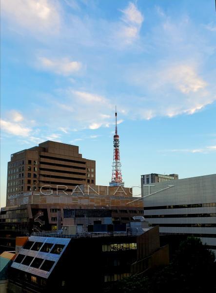 View from the balcony