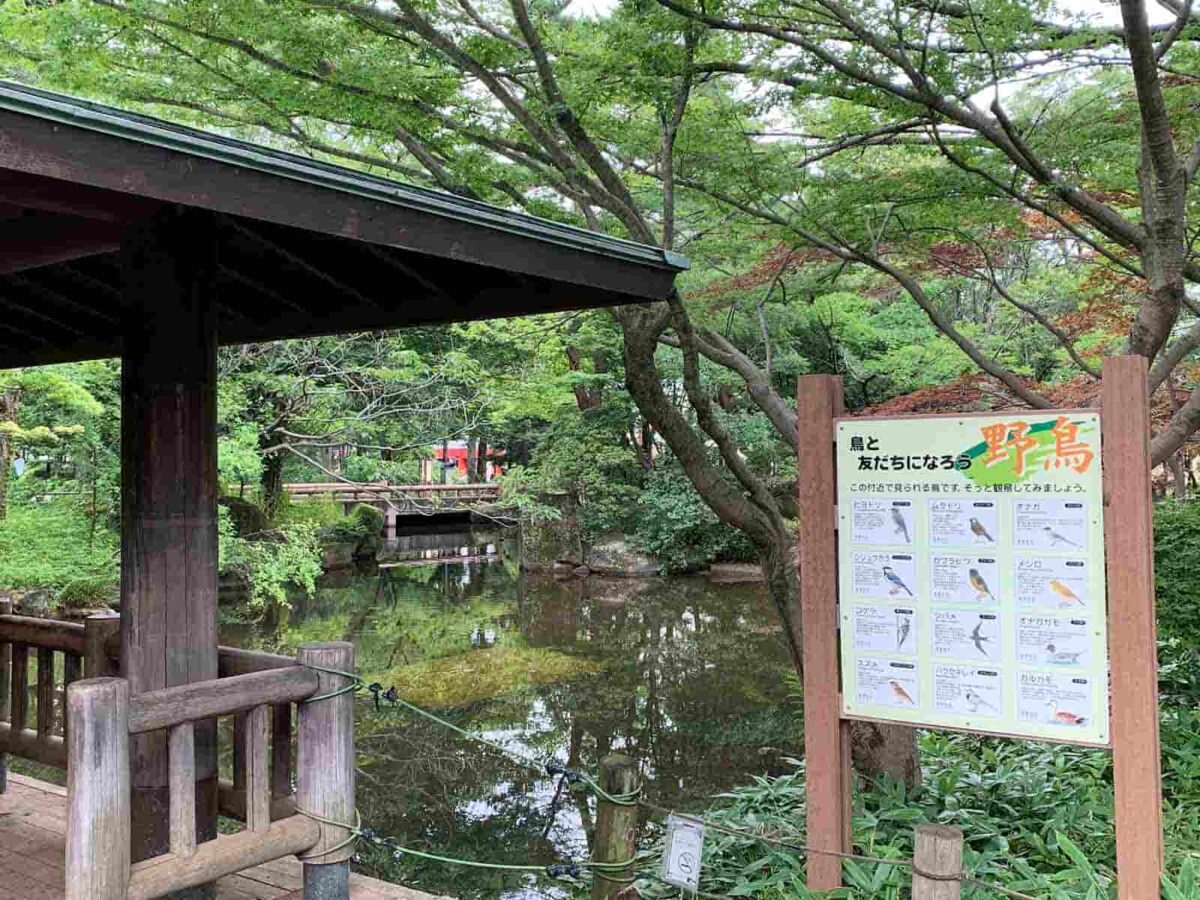 井草森公園の池