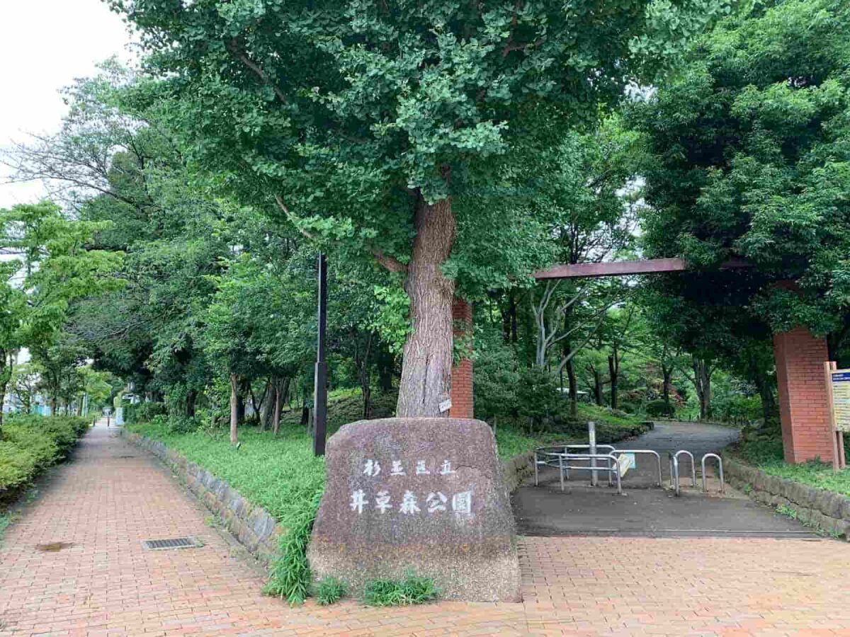 杉並区立井草森公園