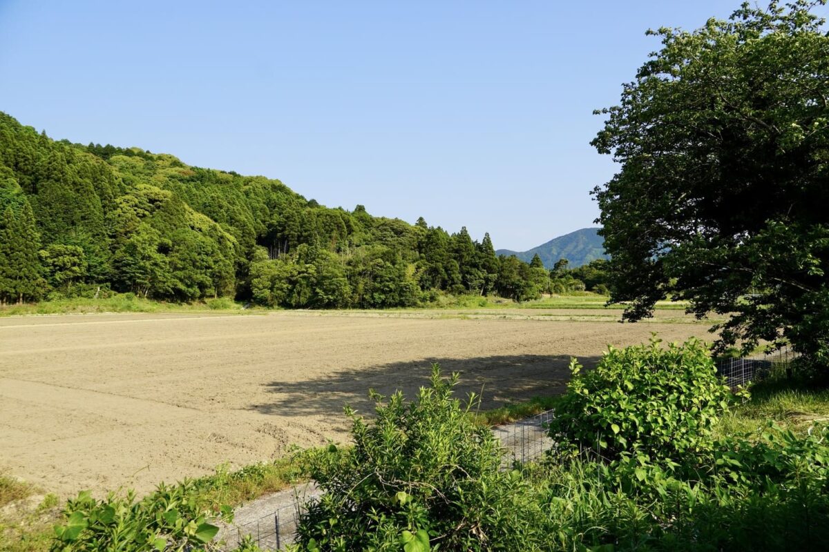 農地売却の注意点｜売却には許可が必要