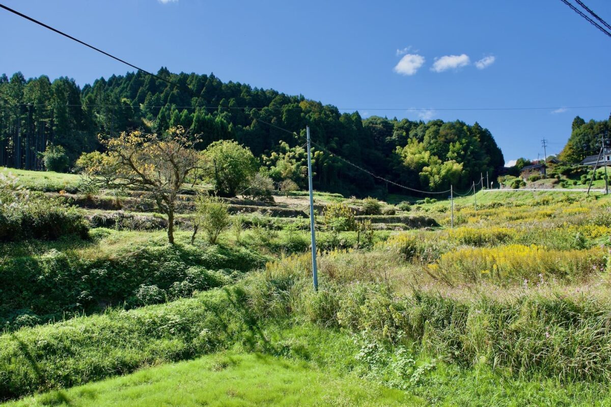 農地転用して売却する場合の基本の流れ