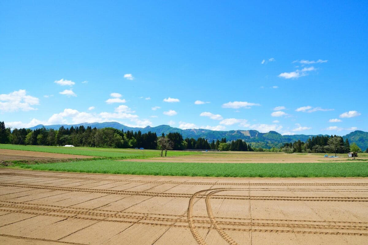 ライターからのワンポイントアドバイス　農地売却,相談